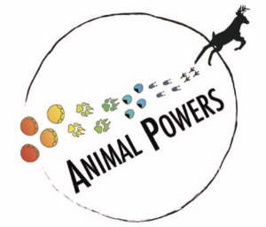 Animal powers logo portfolio