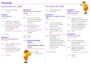 Programma NVvI