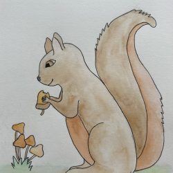 Illustratie eekhoorn