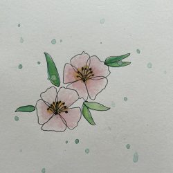 illustratie bloemen 2